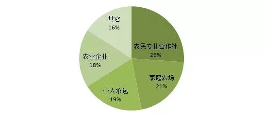 农业从业人口真正_真正的美人鱼图片