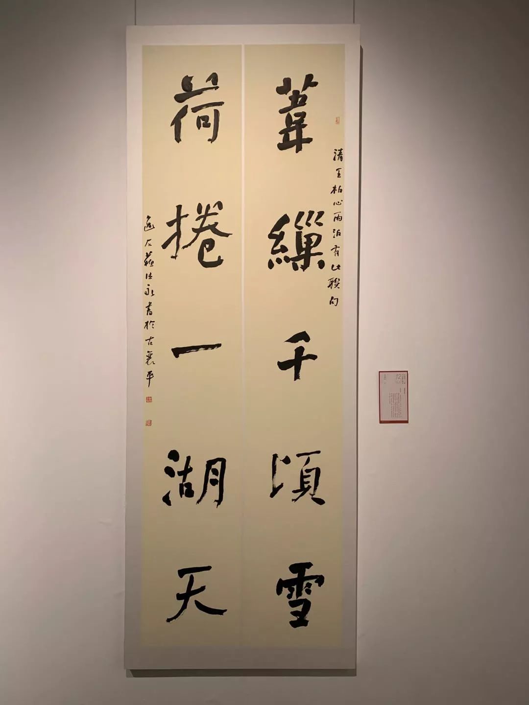  十二届国展长沙展区开幕（附入展作品）
