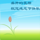 感恩节到了,送你最新最全的聊天的动图,把最美的问候送给你