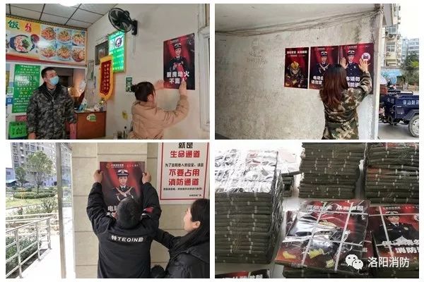洛阳人口报_洛阳牡丹(3)