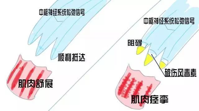 7467d16b757344f4a033faba8f402652.jpeg