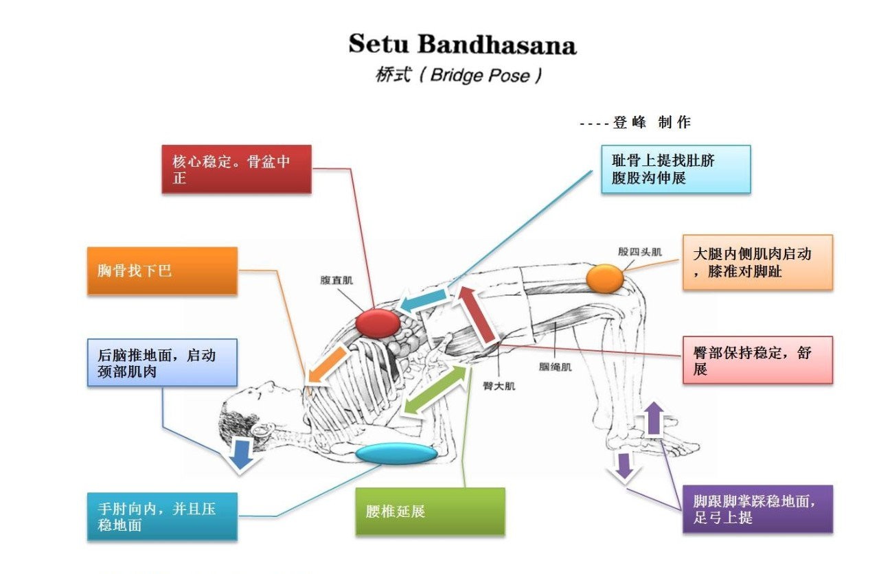 o型人口_o型服装廓形款式图(3)