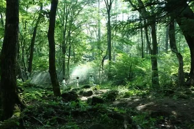 2020女生最喜欢的漫_盘点2020年初女生最爱玩的几款手游,男生玩过几款(2)