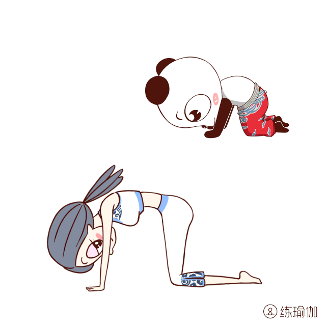 猫牛式