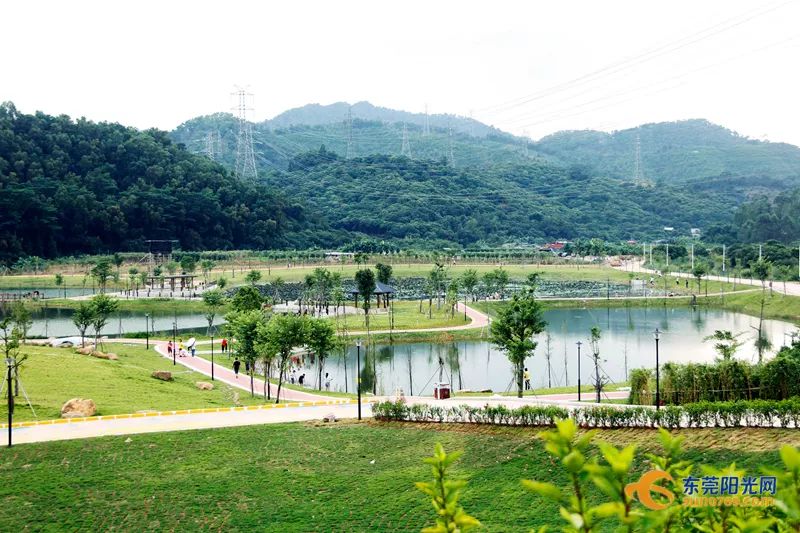 清溪擦亮生态绿色名片,创建全域旅游示范区_公园