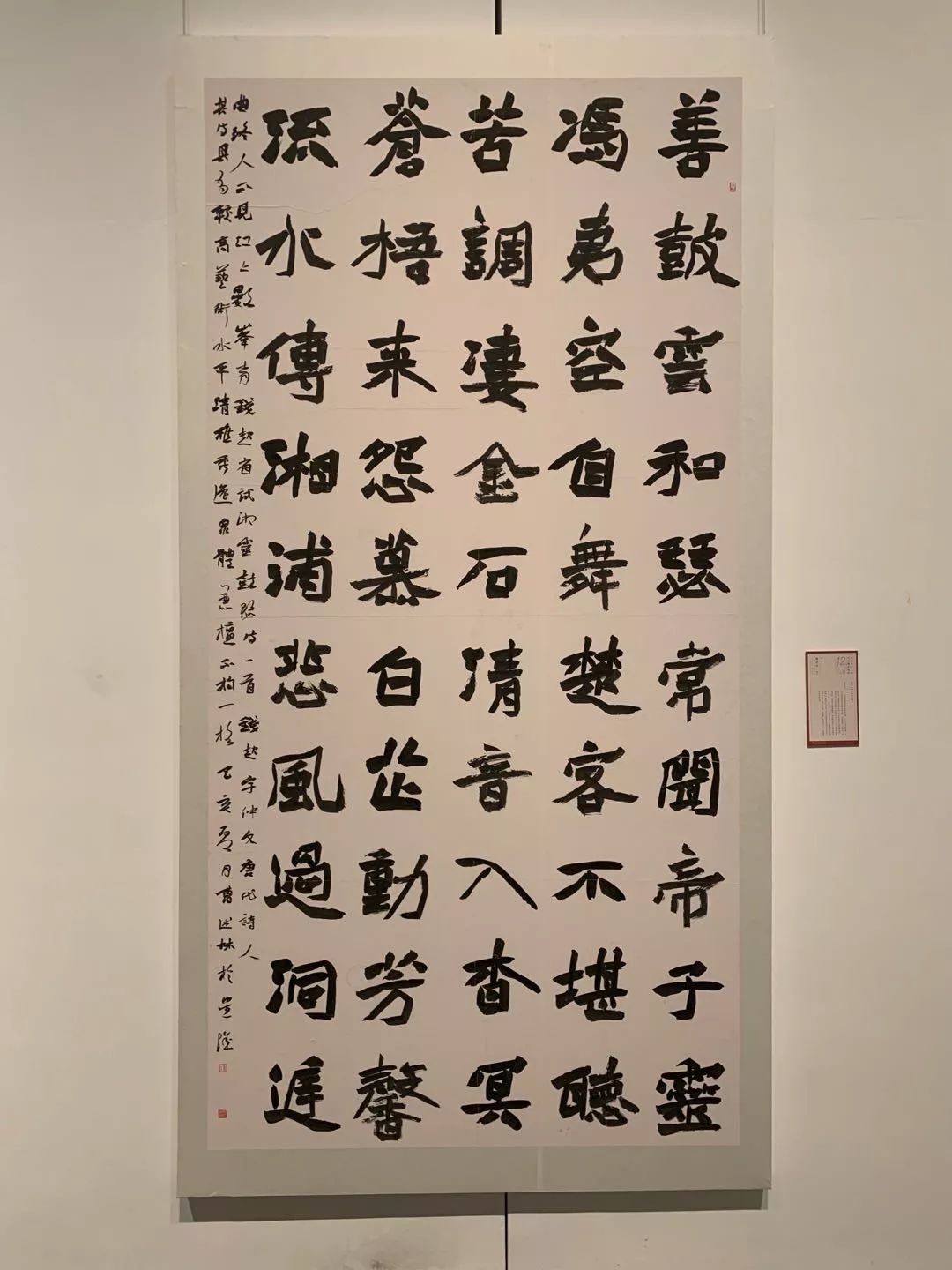  十二届国展长沙展区开幕（附入展作品）