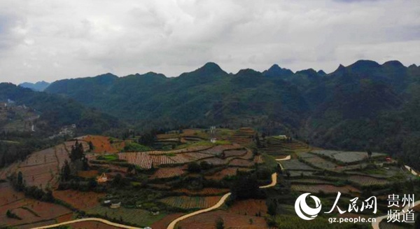 织金县板桥镇:绿水青山成就幸福家园
