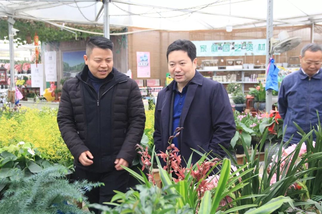 国家林业和草原局发改司副司长王俊中一行来夏溪花木市场调研