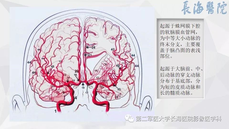 脑小血管病的影像表现与治疗