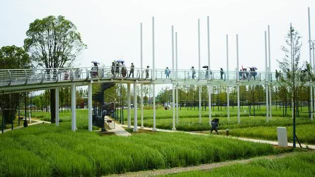 石家河人口_石家河玉器(2)