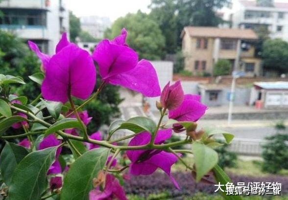 a487750d780249cea5274fdf9ab57341.jpeg