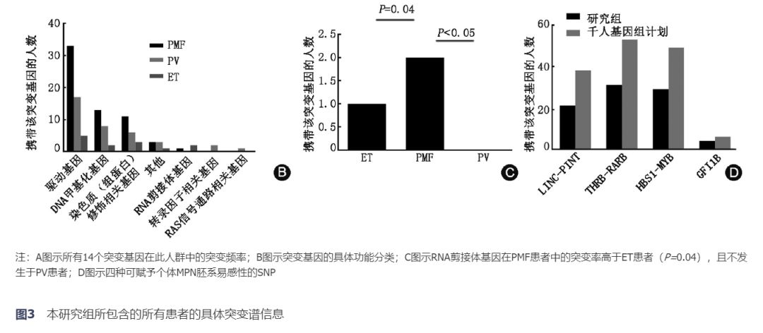 突变简谱_基因突变(3)