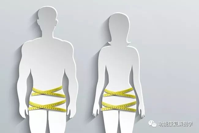 腰臀比腰围除以臀围是检查腰围健康的另一种方法.任何高于0.