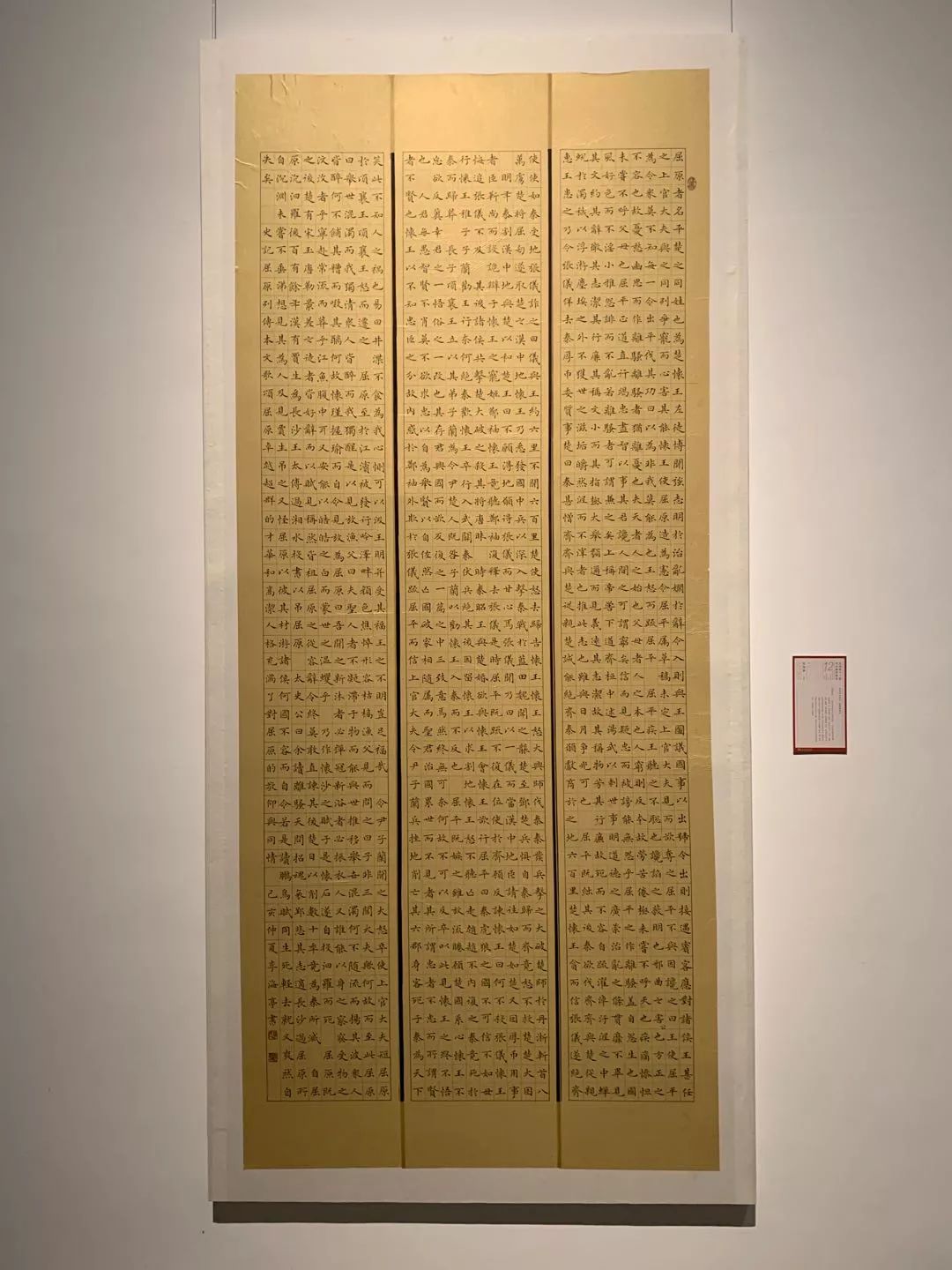  十二届国展长沙展区开幕（附入展作品）