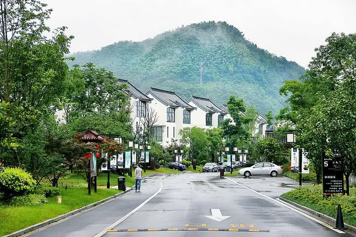 陆屋罗屋坪村人口_吴川杨屋村人口(3)