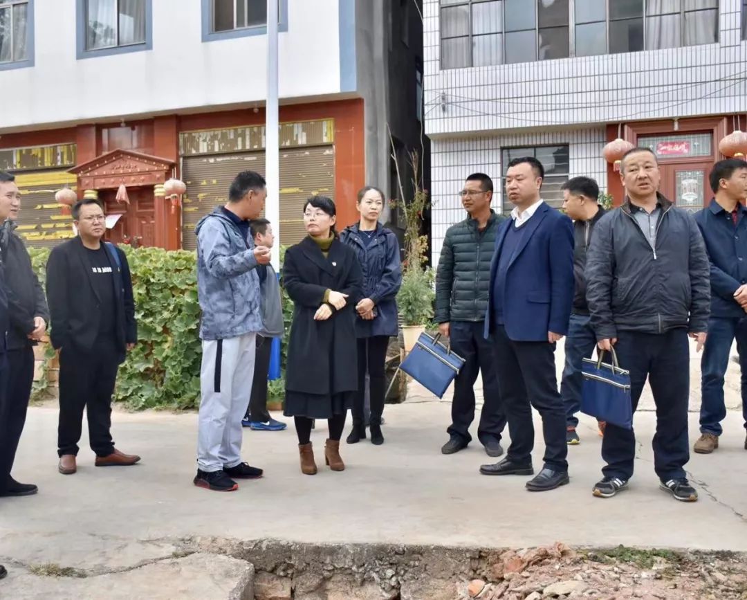 11月25日,县委副书记,县长张燕华就创建国家卫生县城,城乡人居环境