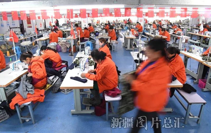 博乐市有多少人口_博乐市第九中学图片(2)