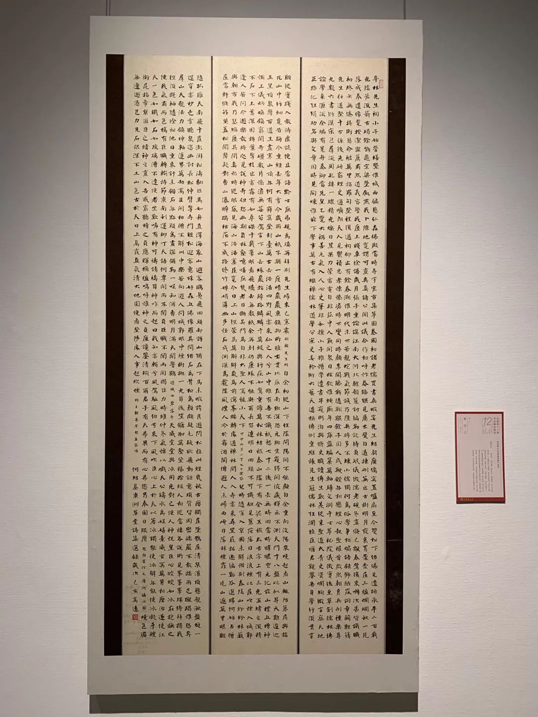  十二届国展长沙展区开幕（附入展作品）