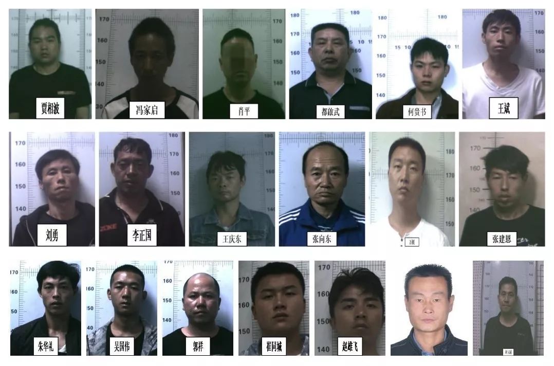 富源有1人,51名涉嫌"盗抢骗"嫌疑人被执行逮捕!