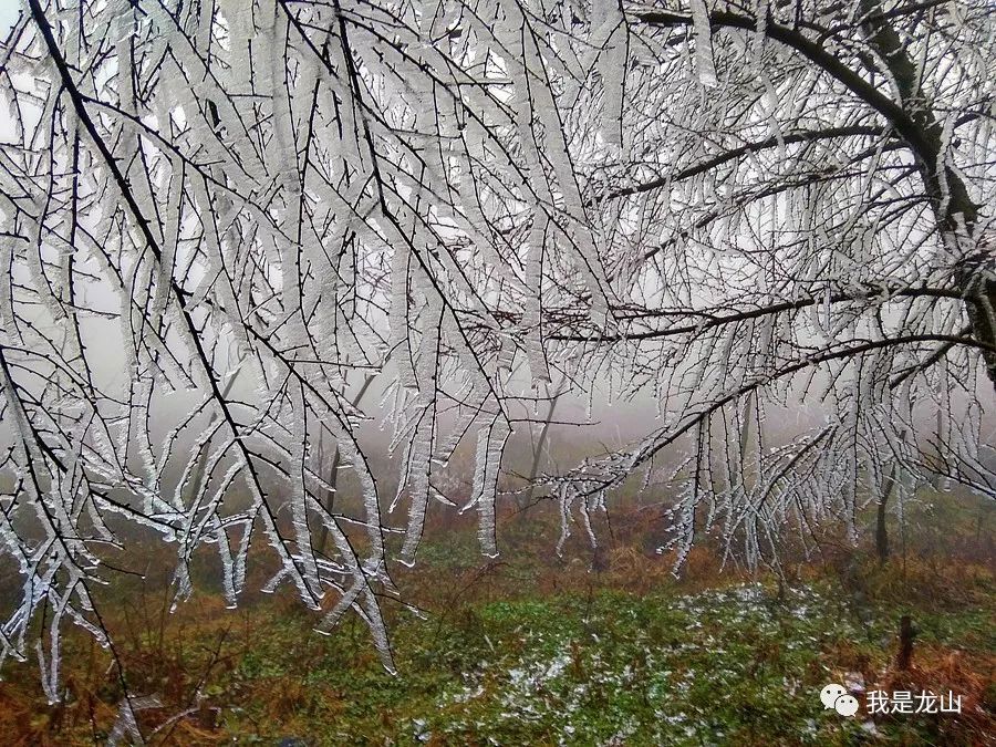ccbb5f39373647f9bdbc2246e40b79af.jpeg