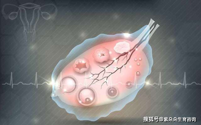 什么样的精子不能做试管 cd1d157d54ca449a976e9a9188c7e1ec.png