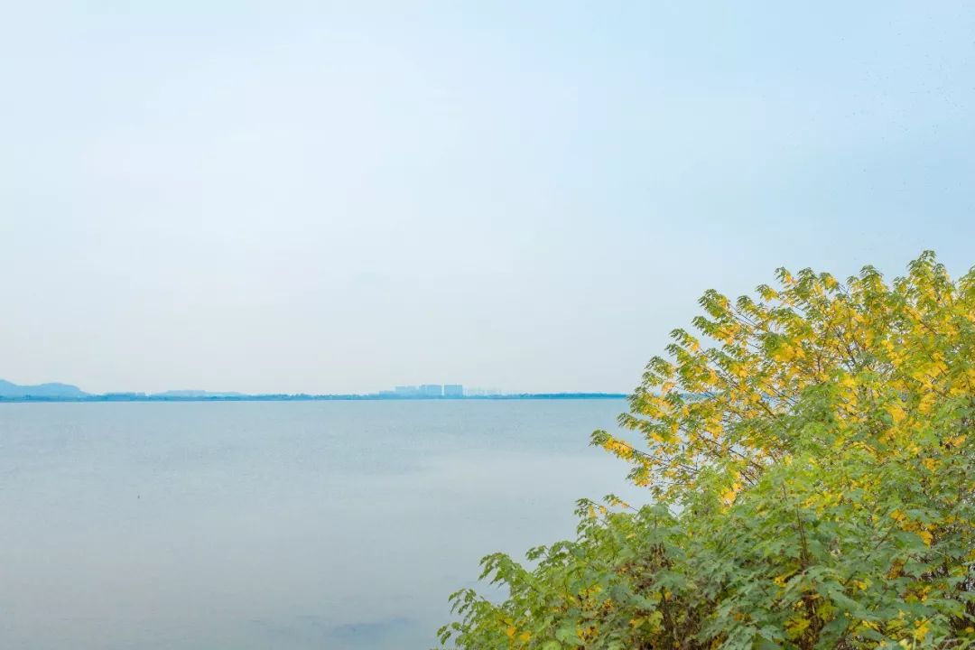 小编实探三山区龙窝湖,官河小学,三山医养结合等项目