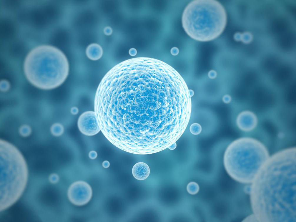 张江生物银行||为什么大多数干细胞药物采用间充质干细胞?