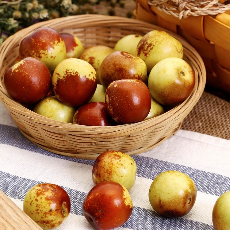 海鸭蛋的功效与作用禁忌 cffbb377e64341e1b78e6a0aa91cb89f.jpeg