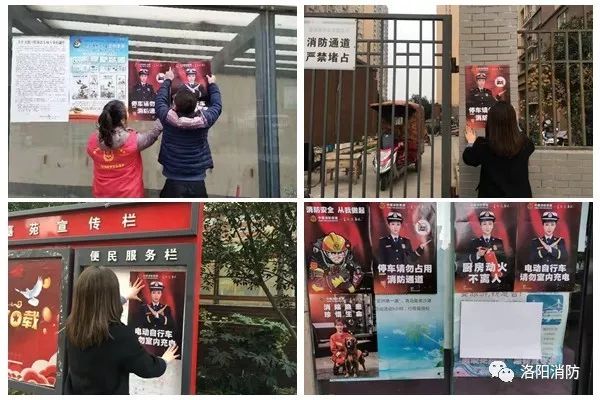 洛阳人口报_洛阳牡丹(2)