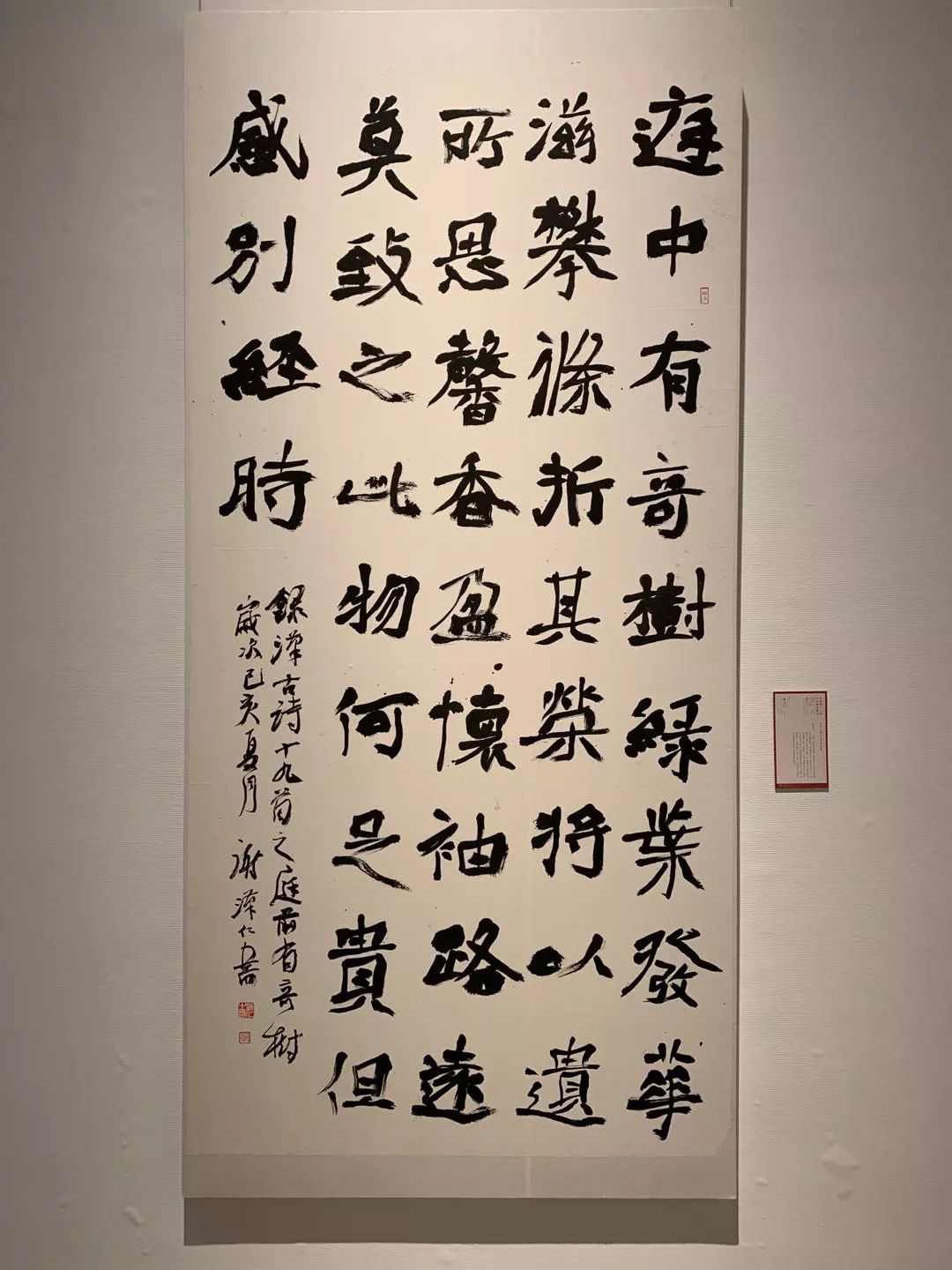  十二届国展长沙展区开幕（附入展作品）