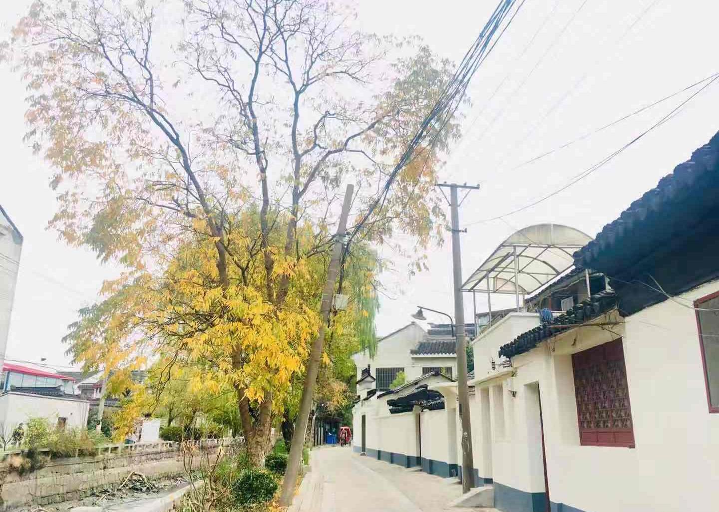 美了美了苏州古城区这些街巷粉墙黛瓦开启美颜模式