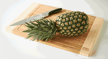 e547b89e382444409b312d97d49c033f.gif