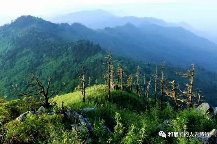 遇见秦岭︱少年行003期