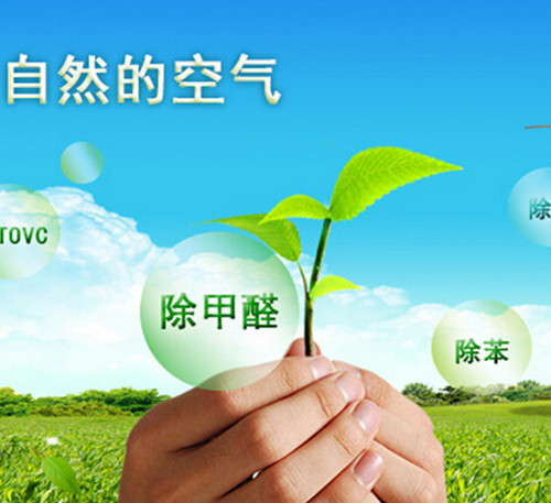 fe305d2ebfa24a369af45d54b5fd9513.png