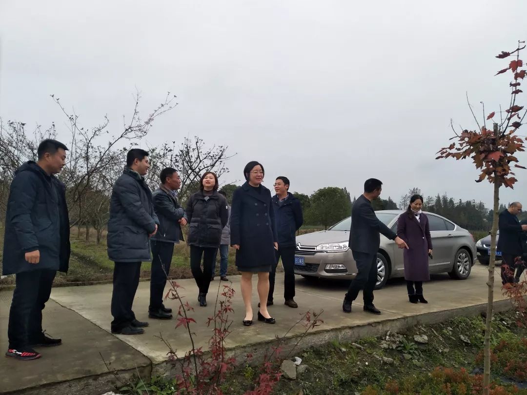 都江堰市副市长陈丽娜莅临何家社区调研考察