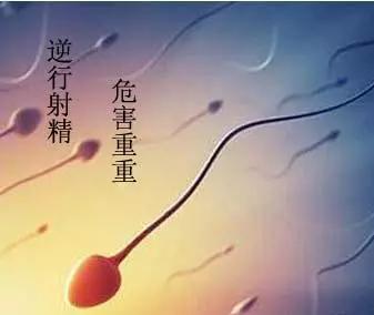 037c7864bc8442ed82df3734e4dbef78.JPG