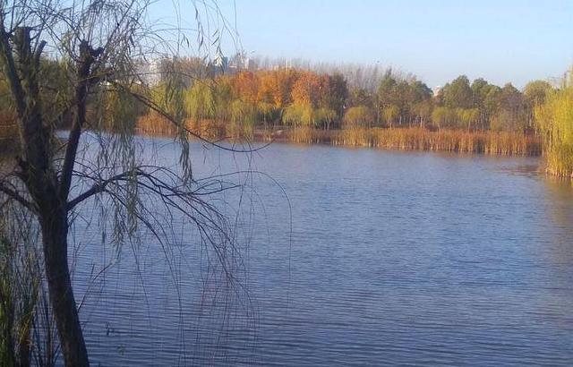 可以用什么词来形容湿地 061edbe4d7dd4f4484e6a03e9214ce85.jpeg