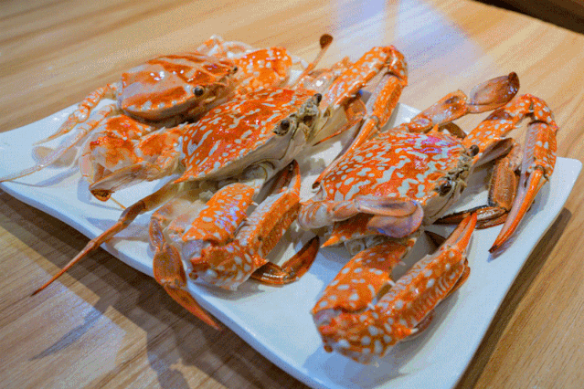 5折豪华海鲜大餐吃到饱!硬核实力