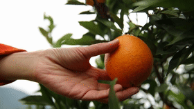 1f139ec2aece46649623da3894c39f89.gif