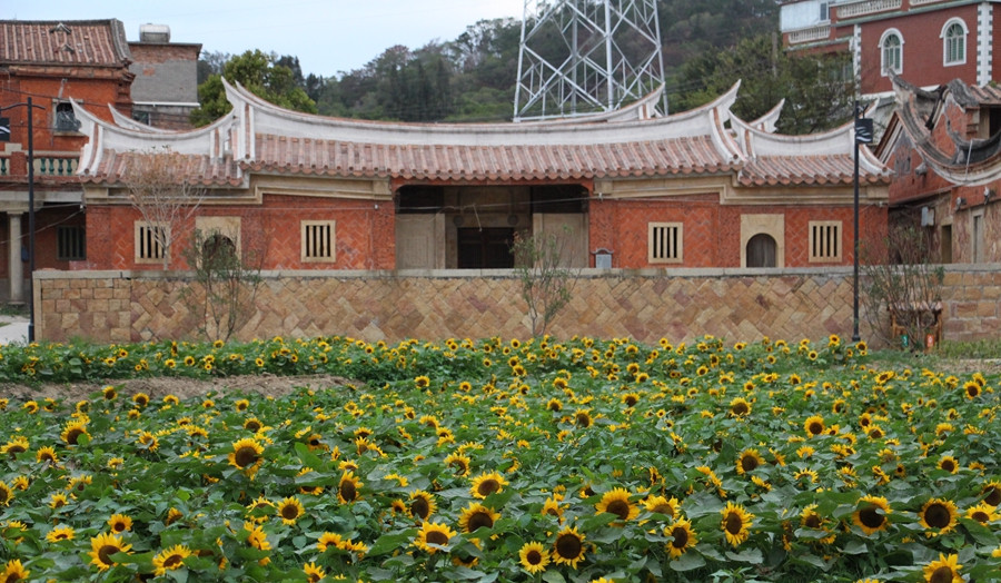 闽南传统建筑风格的红砖古厝与华山村的田园风光融合,构成了一幅清秀