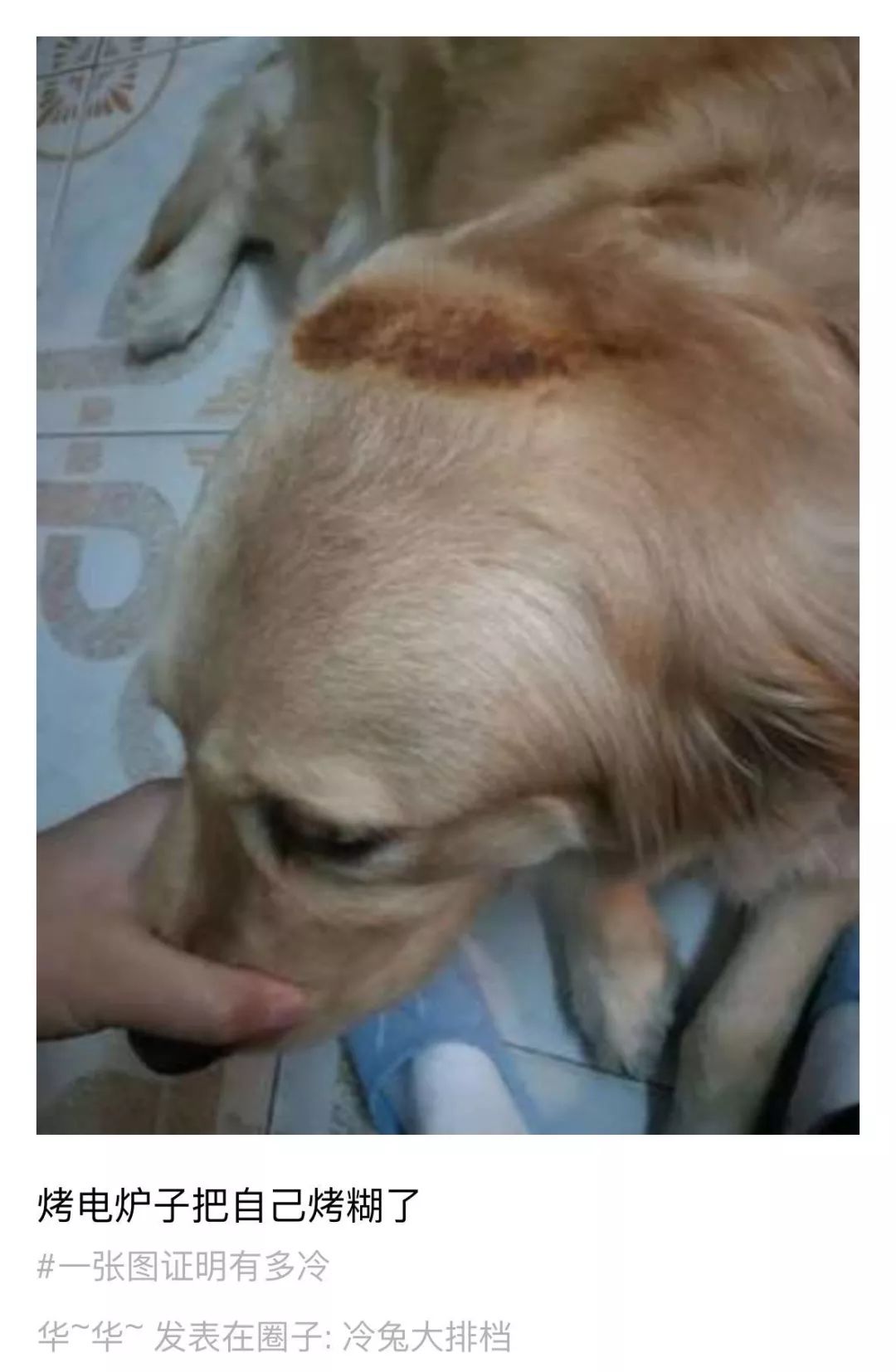 放个屁猜成语_看图猜成语500个图片