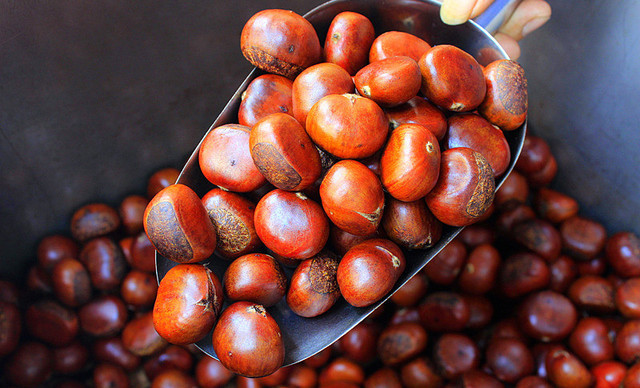 板栗的营养成分一览表 2659447ee0eb46759042328f062edf62.jpeg