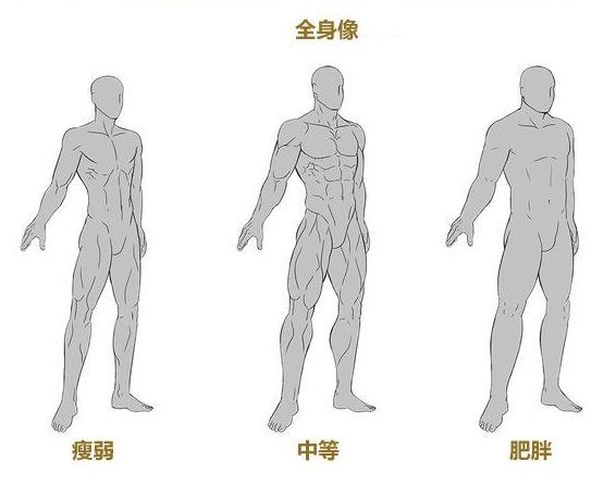 「推荐」男性肌肉绘画技巧!非常全面的漫画动漫男性身材绘画技巧