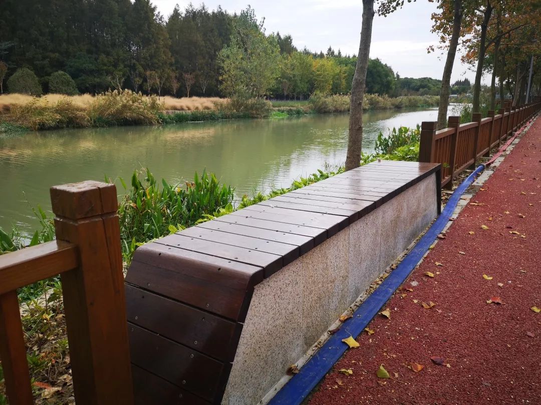 长宁这段河道生态景观建成了雨水花园亲水平台透水步道实景图抢先看
