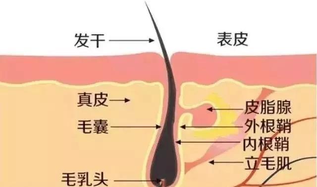 痘印日常_痘印心得经验_痘印的解决方法