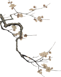 �����ֺš�Ʒ�ƽ��裬�ĸ�֧��������������