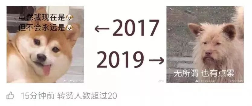 什么是浮云梗 3369c8165dd44a42b73f67fa71837d12.jpeg