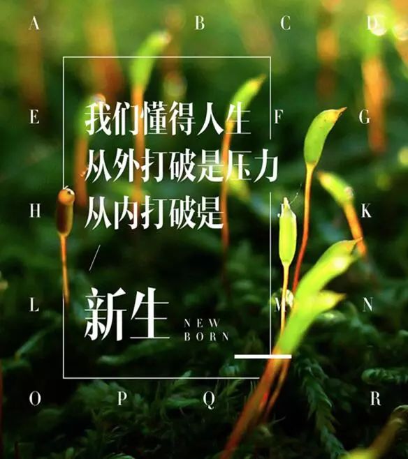 平常心的句子短句 3acd2e9b39f6494aaa24347b156991eb.jpeg