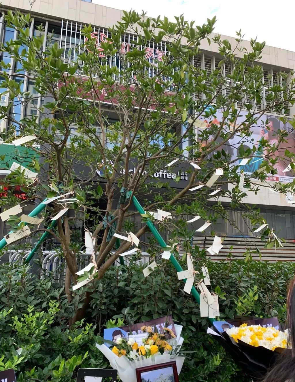 高以翔一集片酬还不够张雨绮买个包，网友：建