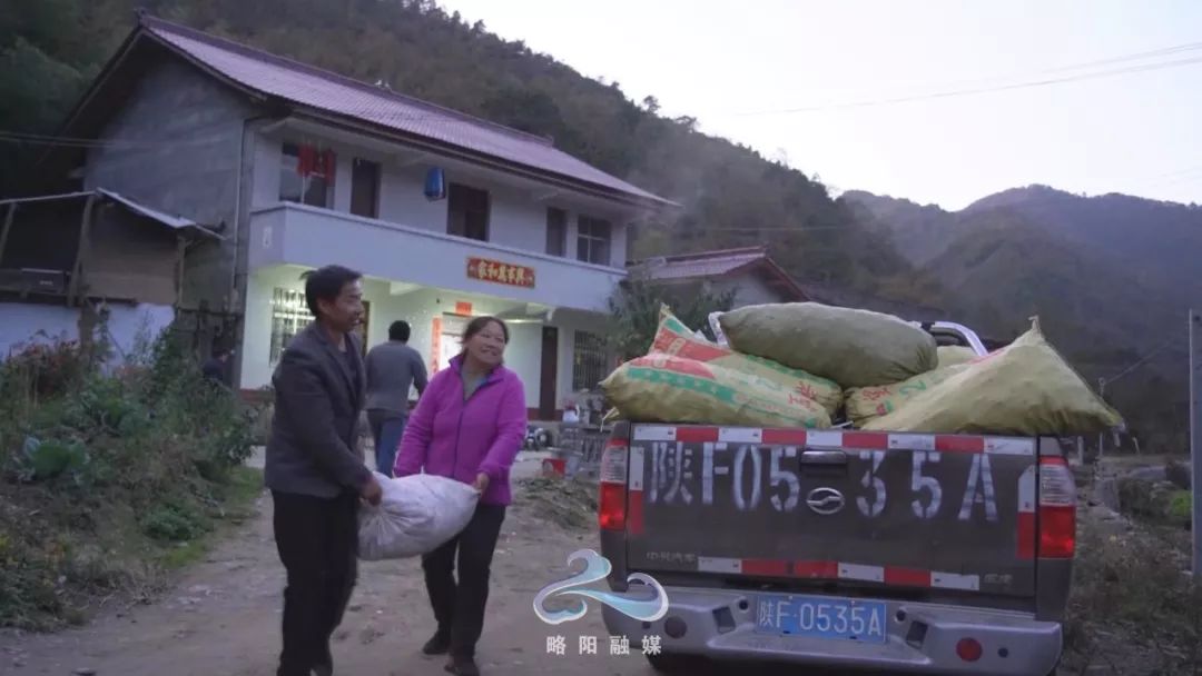 田间地头一派忙碌略阳县五龙洞镇九股树村的初冬时节版权归原作者所有